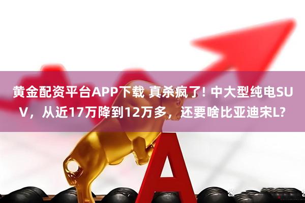 黄金配资平台APP下载 真杀疯了! 中大型纯电SUV，从近17万降到12万多，还要啥比亚迪宋L?