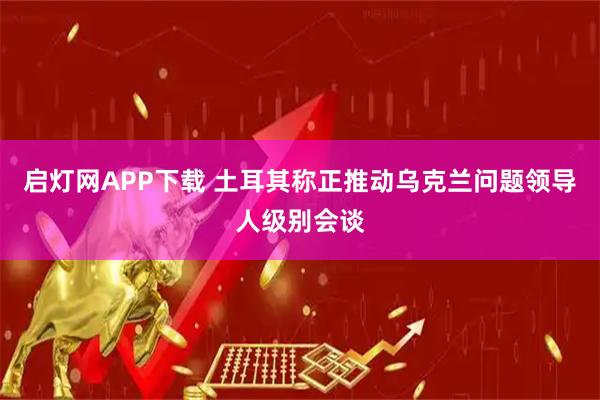 启灯网APP下载 土耳其称正推动乌克兰问题领导人级别会谈